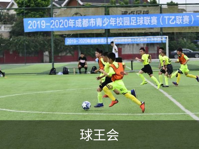 关于球王会